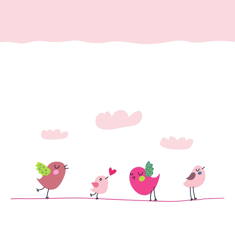 Ρόλερ σκίασης Παιδικά σειρά Πουλάκια E322