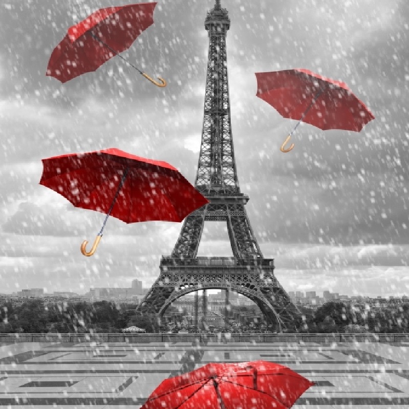 Ρόλερ σκίασης με Αξιοθέατα σειρά Tour Eiffel E502