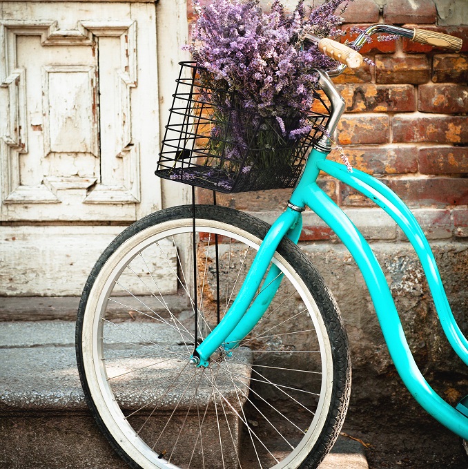 Ρόλερ σκίασης με Πόλεις σειρά Bike E546