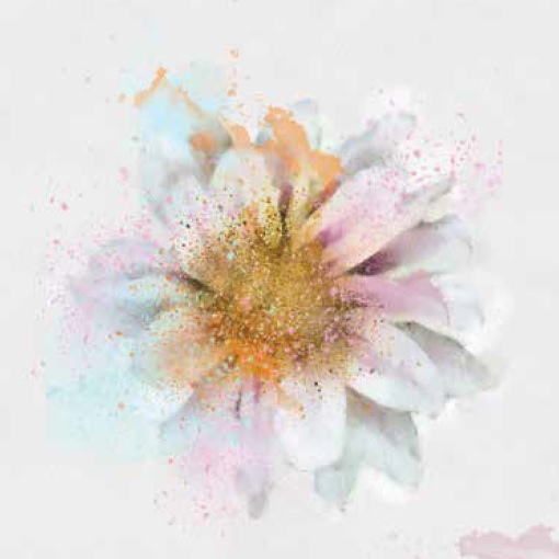 Ρόλερ σκίασης με Floral Σχέδια σειρά Λουλούδια E202