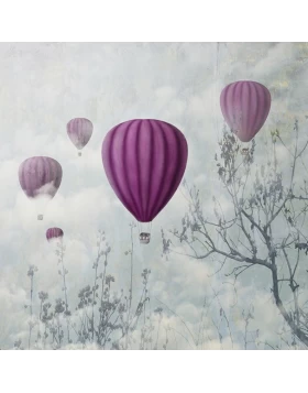 Ρόλερ σκίασης με Μοντέρνα Σχέδια σειρά Αερόστατα ART 027-DR