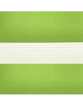 Διπλά Ρόλλερ Ελεγχόμενης Σκίασης Λαχανί πράσινο 15-5-13 (Image 1)