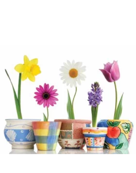 Ρόλερ σκίασης Κουζίνας σειρά Γλάστρες με Λουλούδια E312 (Image 1)