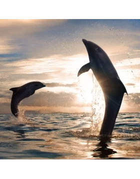 Ρόλερ σκίασης με Φυσικά Τοπία σειρά E230 (Image 1)