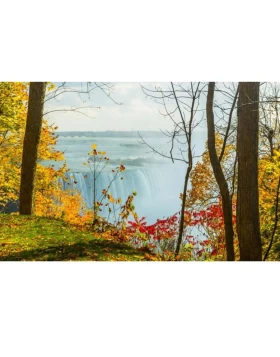 Ρόλερ σκίασης με Φυσικά Τοπία σειρά E223 (Image 1)