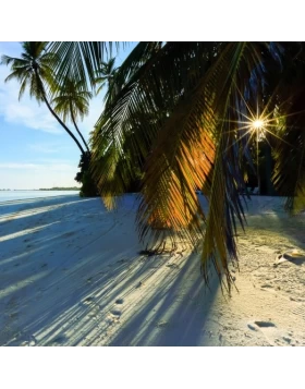 Ρόλερ σκίασης με Φυσικά Τοπία σειρά E485 (Image 1)