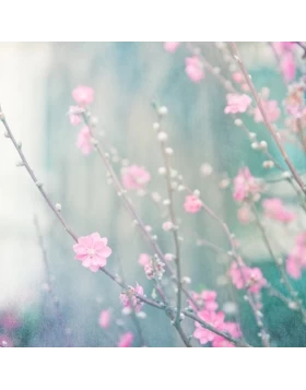 Ρόλερ σκίασης με Μοντέρνα Σχέδια σειρά E389 (Image 1)