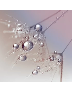 Ρόλερ σκίασης με Μοντέρνα Σχέδια σειρά E396 (Image 1)