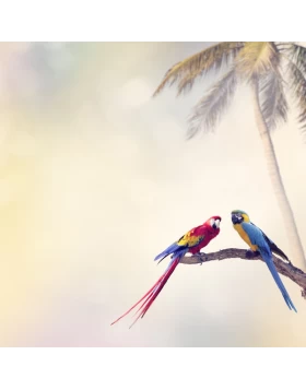 Ρόλερ σκίασης με Μοντέρνα Σχέδια σειρά E409 (Image 1)