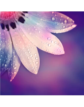 Ρόλερ σκίασης με Μοντέρνα Σχέδια σειρά E420 (Image 1)