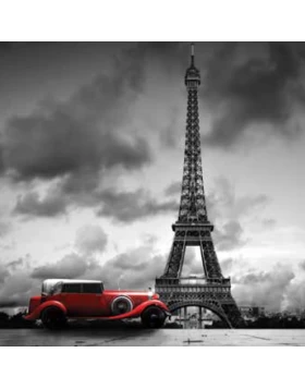 Ρόλερ σκίασης με Αξιοθέατα σειρά Tour Eiffel E244