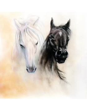 Ρόλερ σκίασης Ζωγραφισμένα σειρά E550 (Image 1)