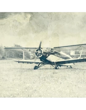 Ρόλερ σκίασης με Vintage Σχέδια σειρά Aeroplane E442 (Image 1)