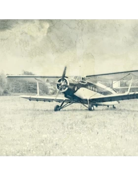 Ρόλερ σκίασης με Vintage Σχέδια σειρά Aeroplane E442