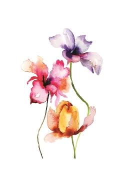 Ρόλερ σκίασης με Floral Σχέδια σειρά Λουλούδια E201