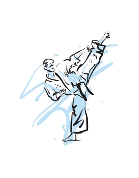 Ρόλερ σκίασης με Εφηβικά Σχέδια σειρά Karate E367