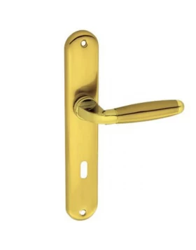 Πόμολα Πόρτας Economy Χειρολαβές με πλάκα 0217 Χρυσό ματ (Image 1)