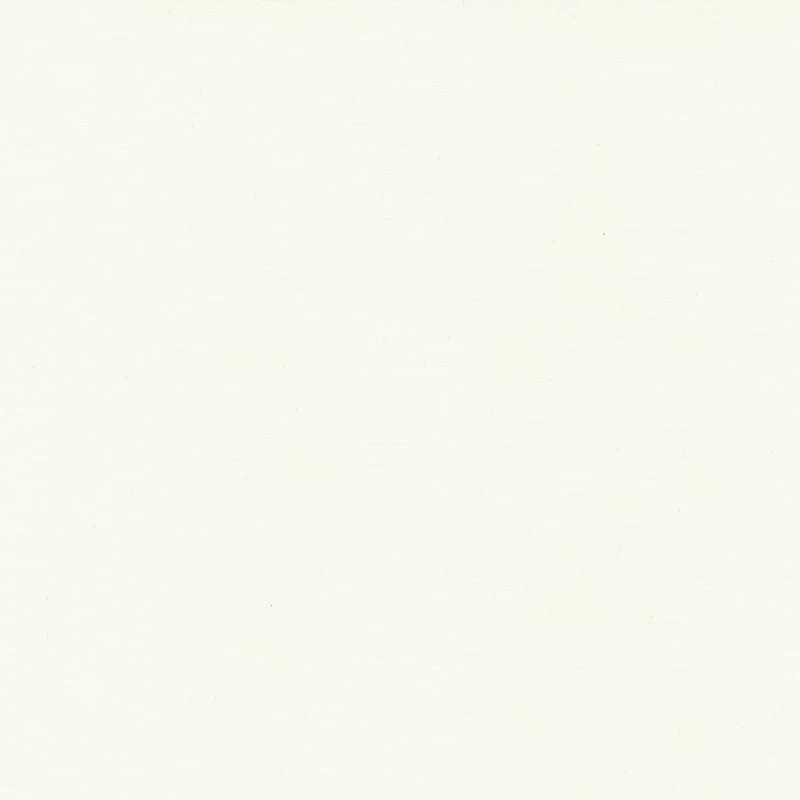 Μονόχρωμο Ρόλερ σκίασης σειρά Άσπρο 5.90.24