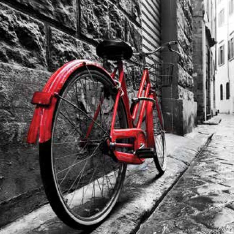 Ρόλερ σκίασης με Πόλεις σειρά Bicycle E500