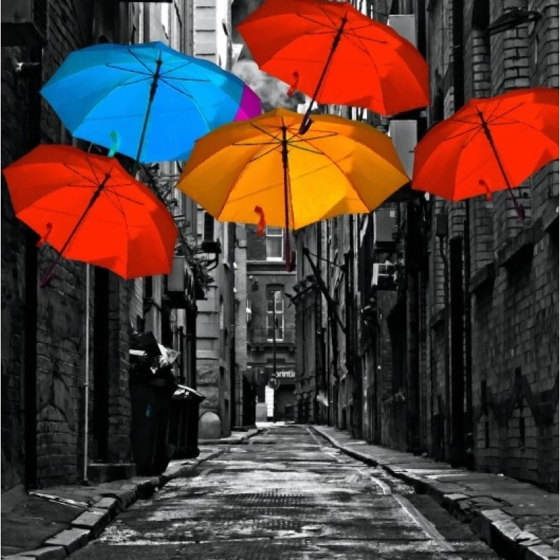 Ρόλερ σκίασης με Πόλεις σειρά Umbrellas E506