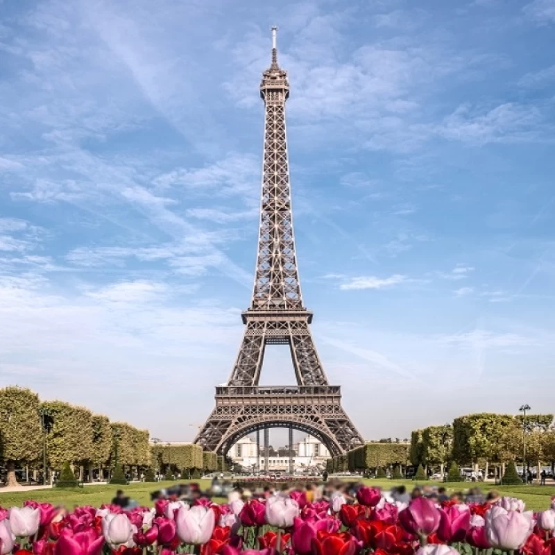 Ρόλερ σκίασης με Αξιοθέατα σειρά La Tour Eiffel E539