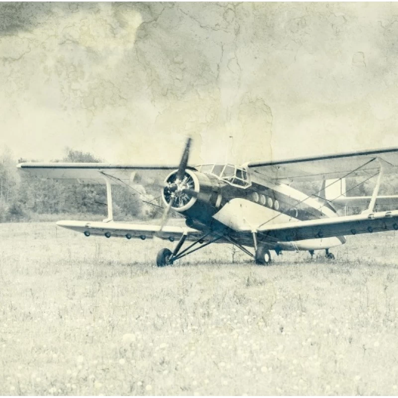 Ρόλερ σκίασης με Vintage Σχέδια σειρά Aeroplane E442