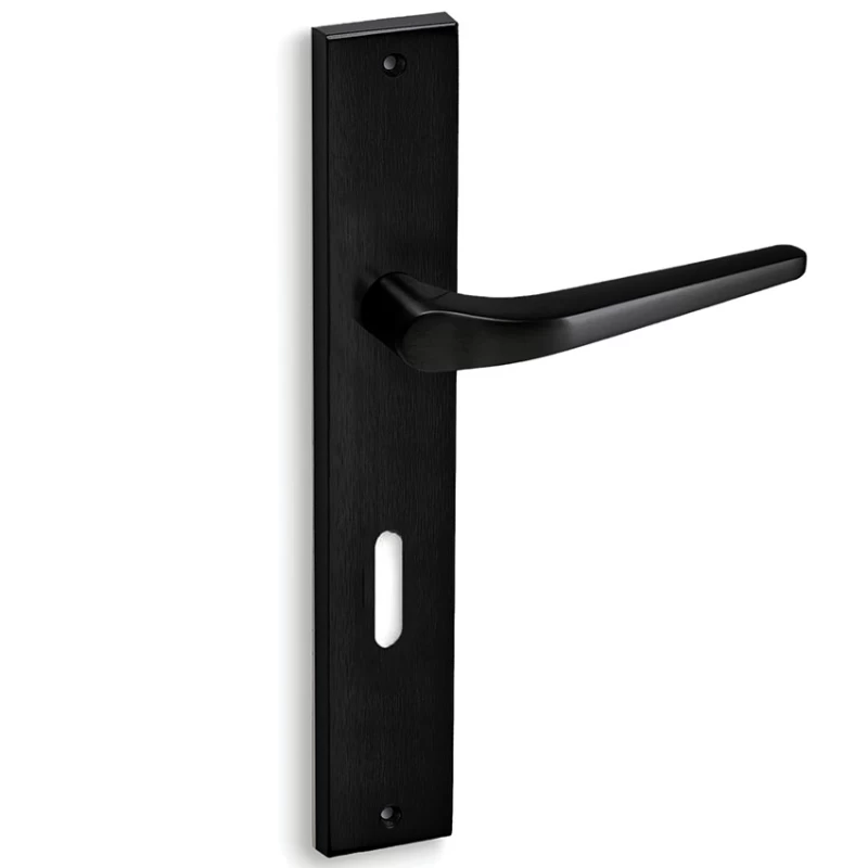 Πόμολα Πόρτας Convex χειρολαβές με πλάκα 1505 Μαύρο ματ (Image 1)