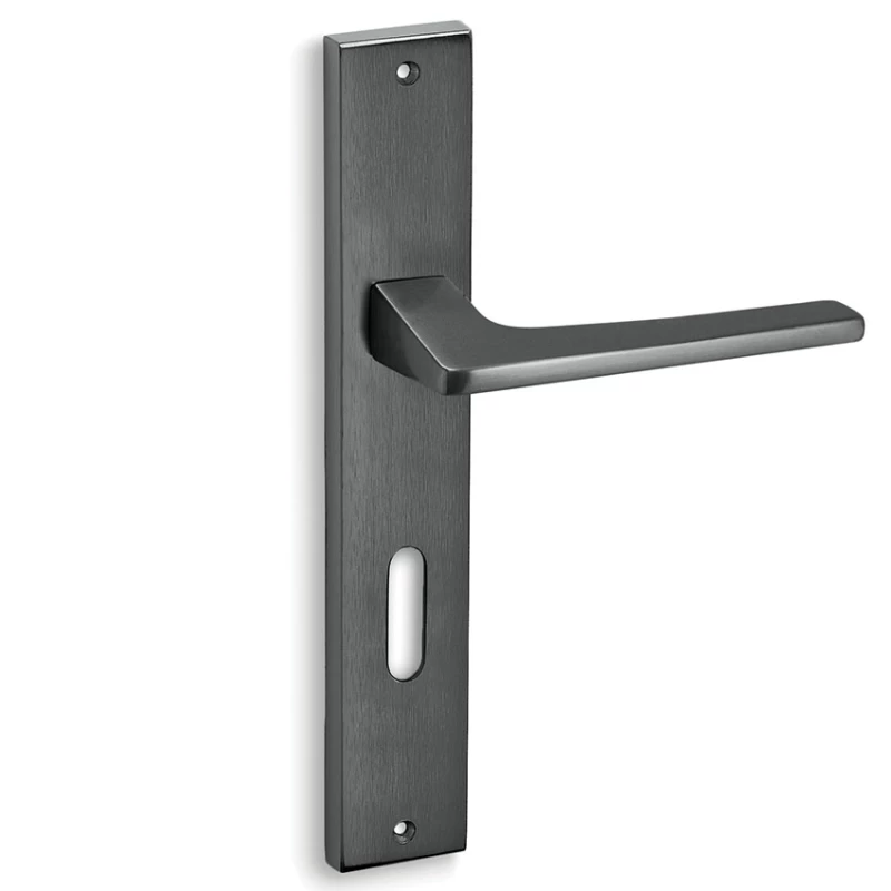 Πόμολα Πόρτας Convex χειρολαβές με πλάκα 1495 Ματ Γραφίτης (Image 1)