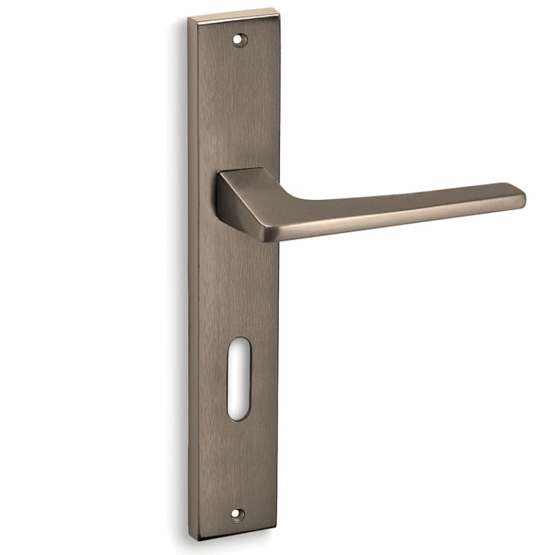 Πόμολα Πόρτας Convex χειρολαβές με πλάκα 1495 Ματ Αντικέ (Image 1)